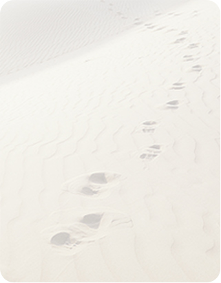 dbadde15934085e14ddf2274ef3bd582