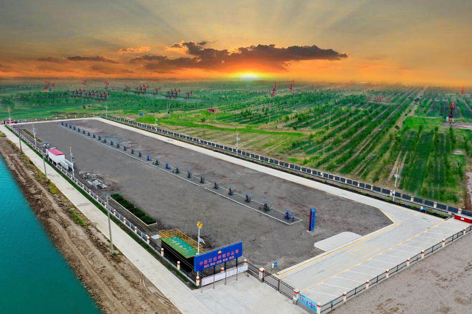 00b838189675186ff9b9d7f0d7c91f55