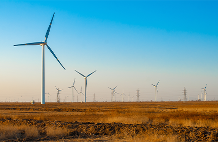 6b2d1c455d49ca2ed0d2ba82f7234d5d