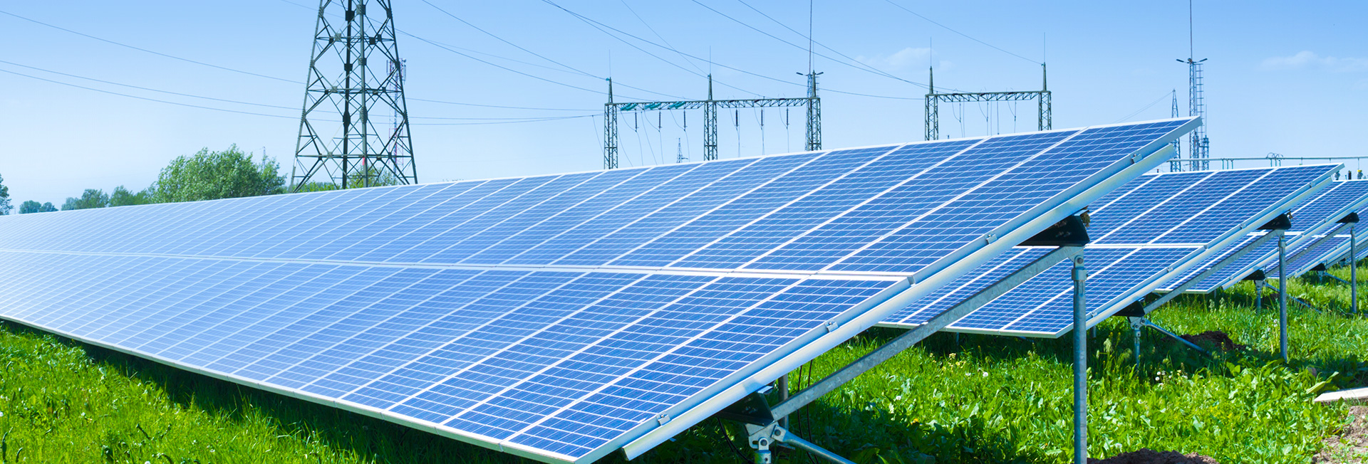 1385f1281639d2c6333afd52914e8cc9