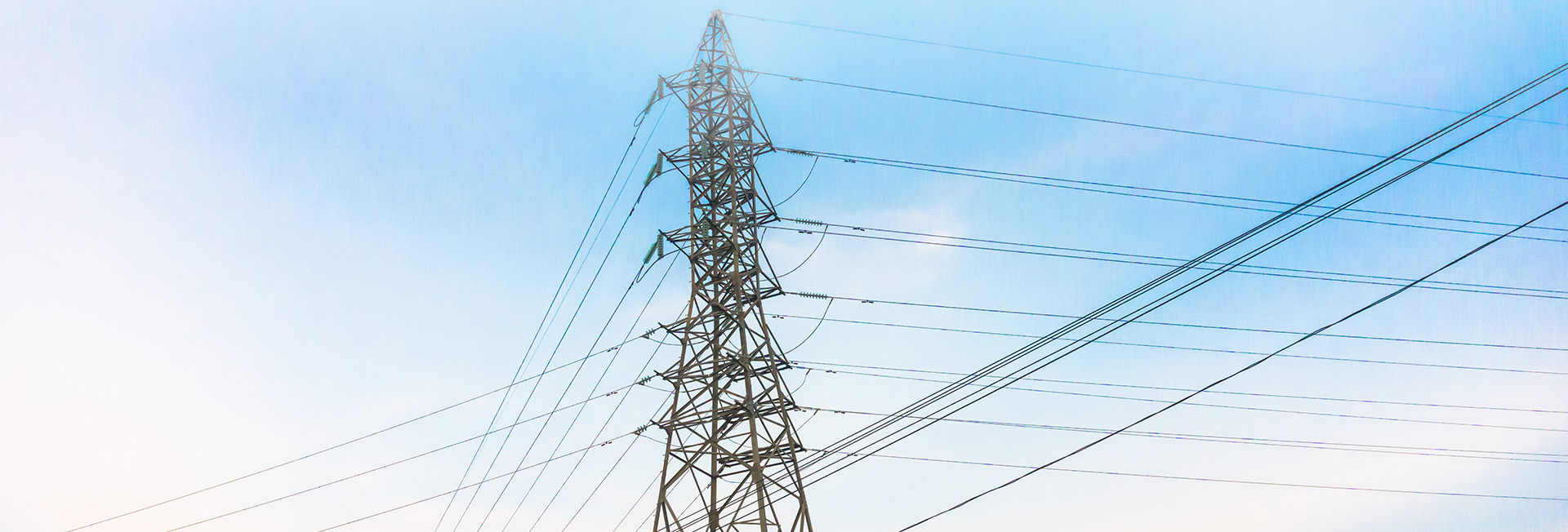 28b8f4a23a2c48a0952d6355cec12531