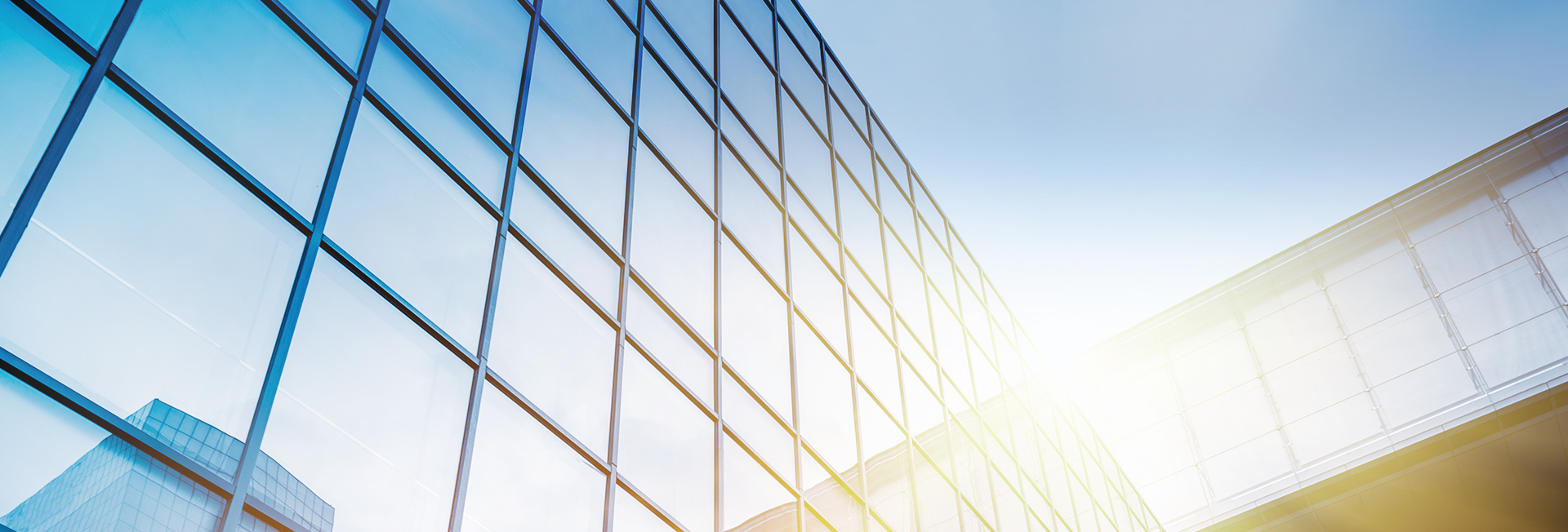 81a4690539ade1002846e37bb204dac0